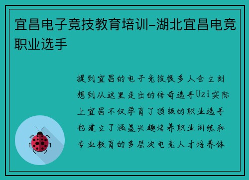 宜昌电子竞技教育培训-湖北宜昌电竞职业选手